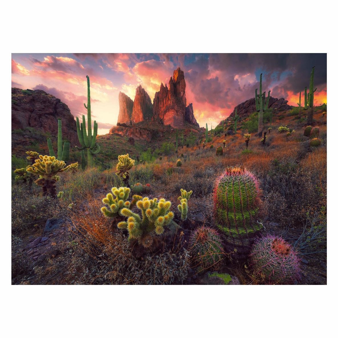 Ravensburger Jigsaw Puzzle Cactus 500 Pcs. 2D Puzzles