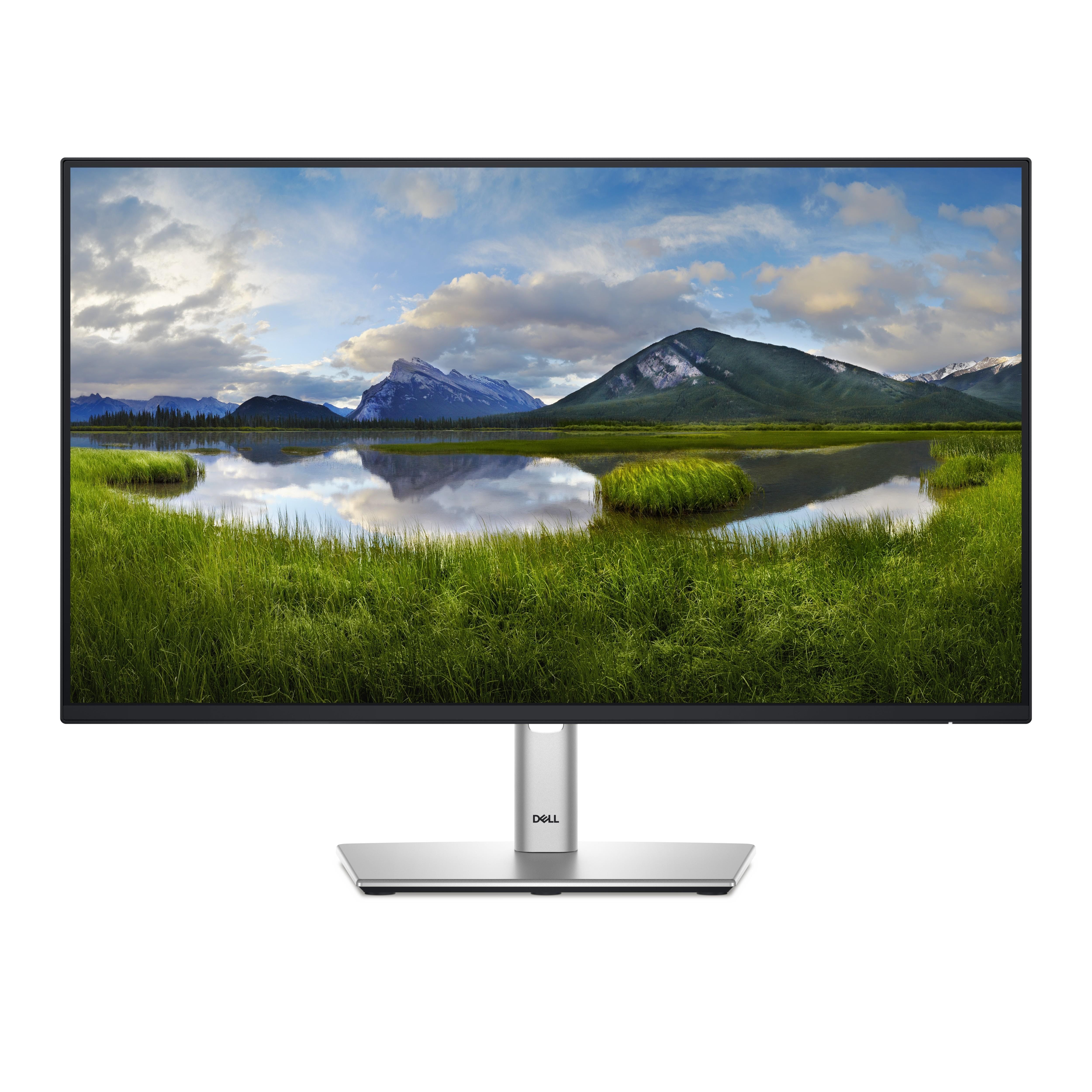 24" Dell P2425he - 1920x1080 (Fhd) - 100hz - Ips - 90w Usb-c - Bildschirm