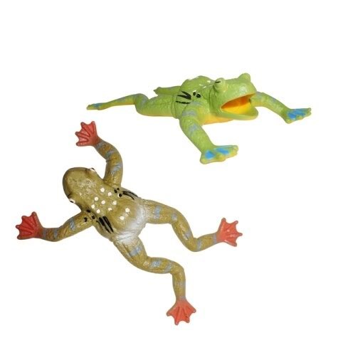 Pocket Money Stretchy Frog - Assorted - Kleine Mitbringsel Fuer Kinder 500039