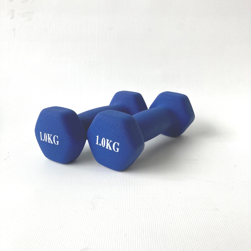 Asg Neoprene Dumbbell Set 1kg - Sport Fitness Asg4330ione Size