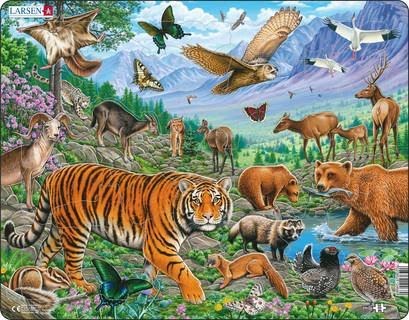 Larsen Puzzles Puzzle Sibirischer Tiger Sommer - 36 Teile, Maxi 2D Puzzles