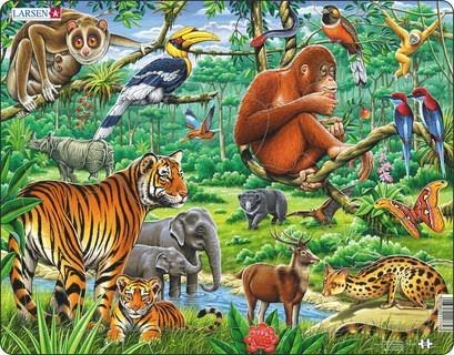 Larsen Puzzles Puzzle Jungle Animals - 20 Pieces Maxi (36.5x28.5 cm) 2D Puzzles