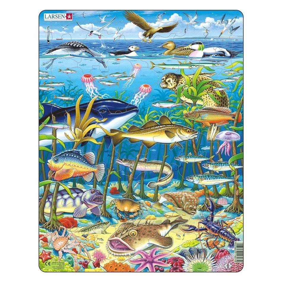 Larsen Puzzles Puzzle Leben im Meer im Nordatlantik - 60 Teile 2D Puzzles Fh13