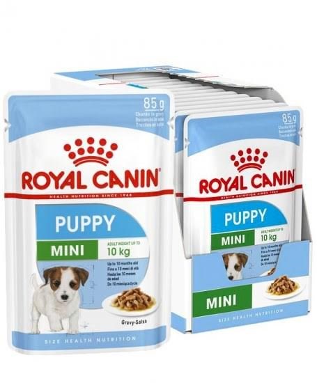 Royal Canin Shn Mini Puppy in Sauce - Wet Puppy Food - 12x85g - Hunde