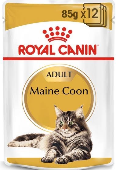 Royal Canin Fbn Maine Coon - Cat Wet Food - Sachet 12x 85g - Katzen