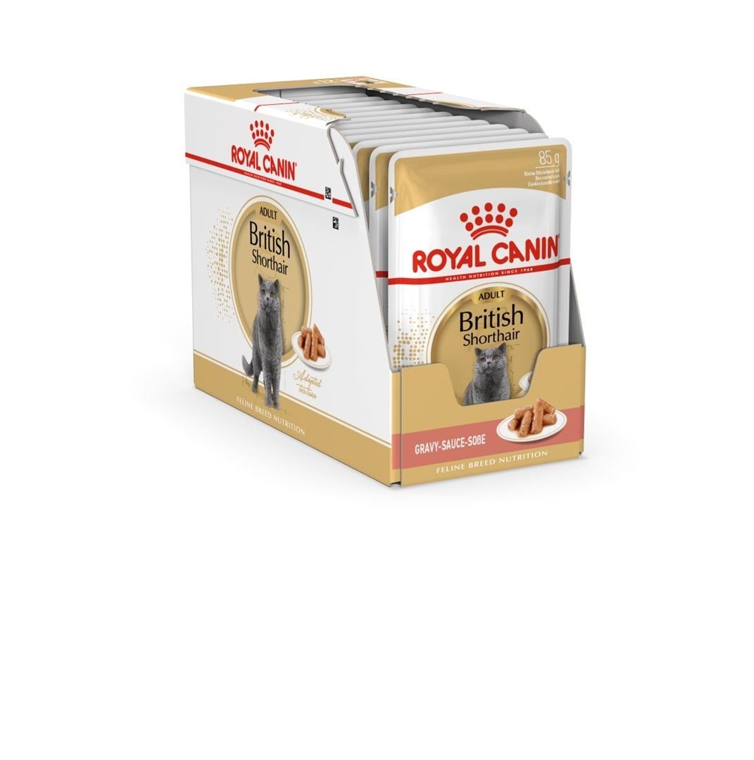 Royal Canin British Shorthair Packet 12x85g - Katzen 9003579001240