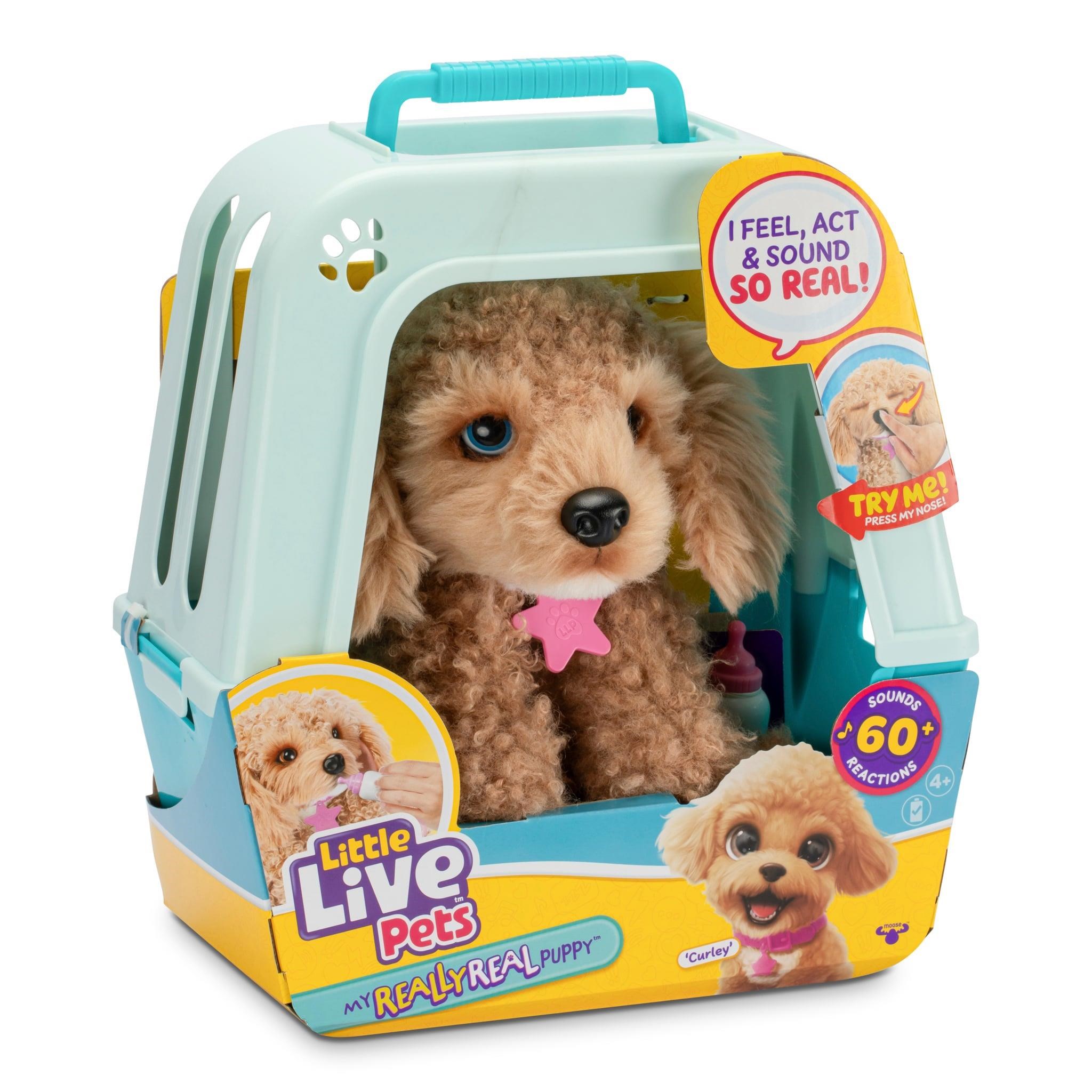 Little Live Pets - My Really Real Puppy - Curley - Plush 26612