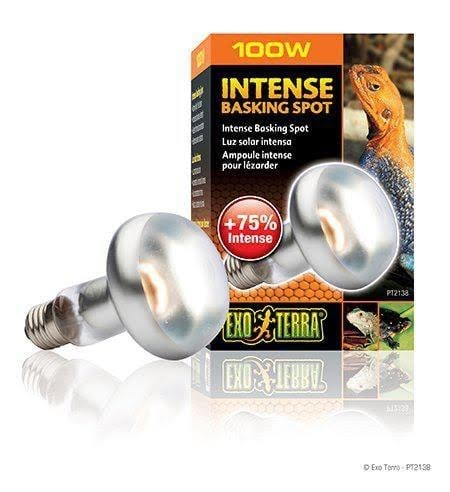Exo Terra Sun Glo Intensiver Sonnenplatz-spot 100 w M/uva - Terrarium And Accessories Hpt2138