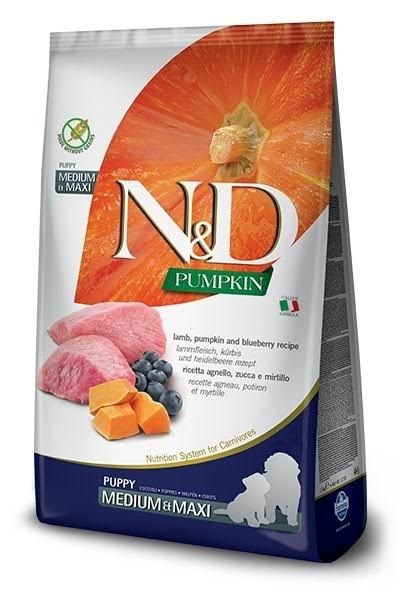 Farmina N&D GF Pumpkin Dog Lamb&Blueberry Puppy Medium/maxi 12kg - Hunde