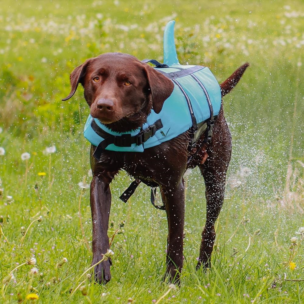 Nobby Redningsvest Sharki Blå XL - Hunde L61034