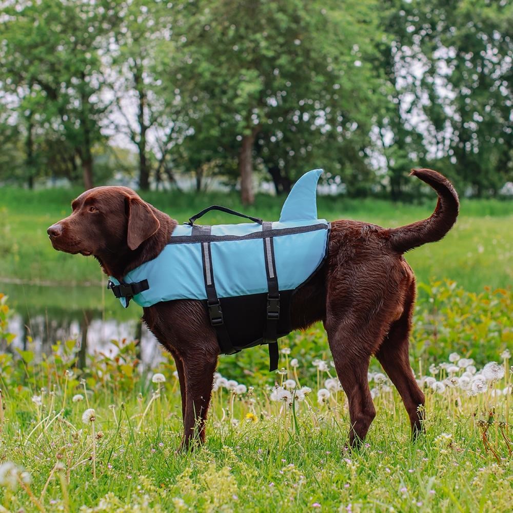 Nobby Redningsvest Sharki Blå XS - Hunde