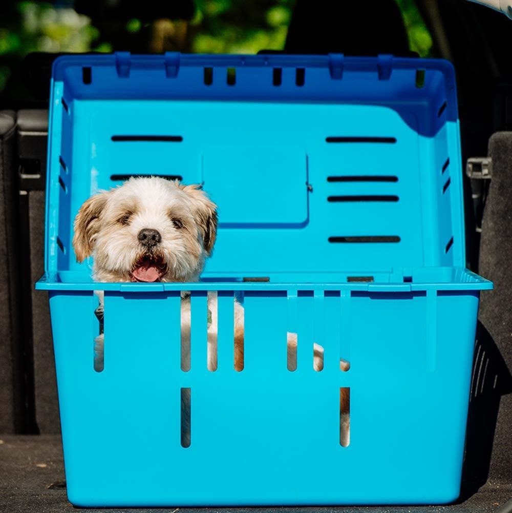 Nobby Transportbox Pet Caddy II - Nagetiere L72078