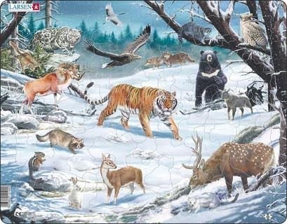 Larsen Puzzles Puzzle Winter Wildlife in Siberia And Northeast 2D Puzzles Fh34