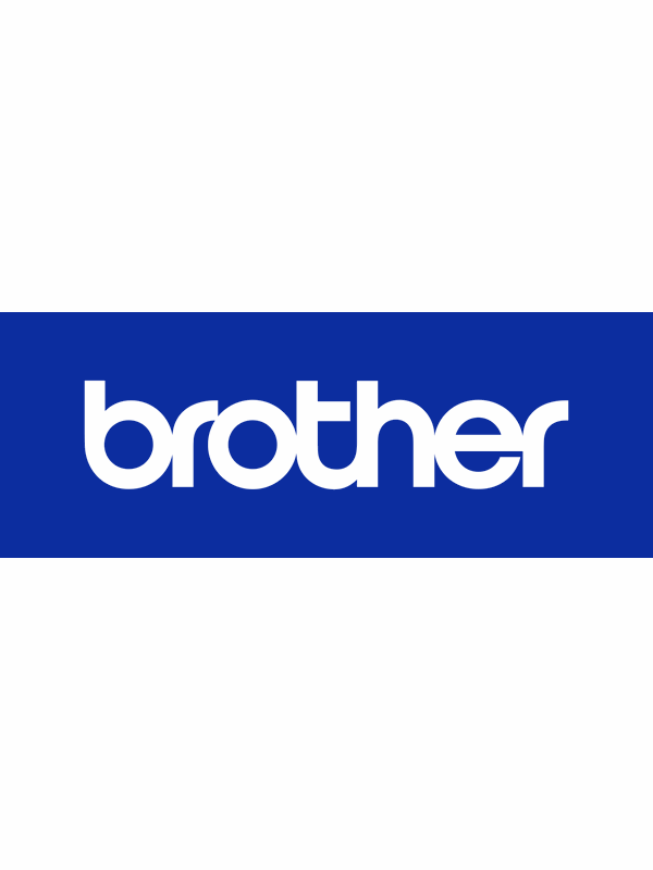 Brother PA-BT-009 - printer battery - Li-Ion Netzteile - ATX - 80 Plus
