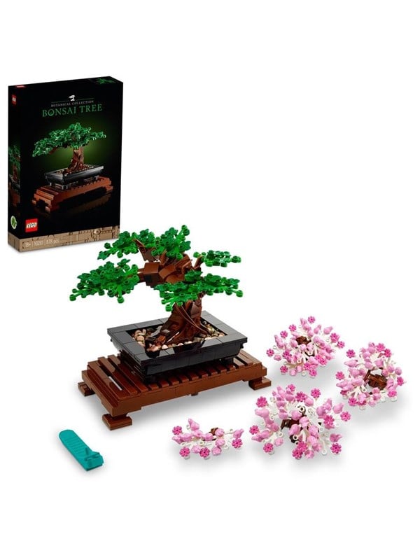 Image of Bonsai Baum