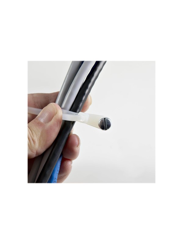 StarTech.com Cable Ties with Mounting Hole 3mm 100 pcs.