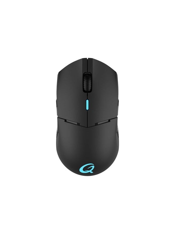 QPAD DX-900 - Maus Schwarz