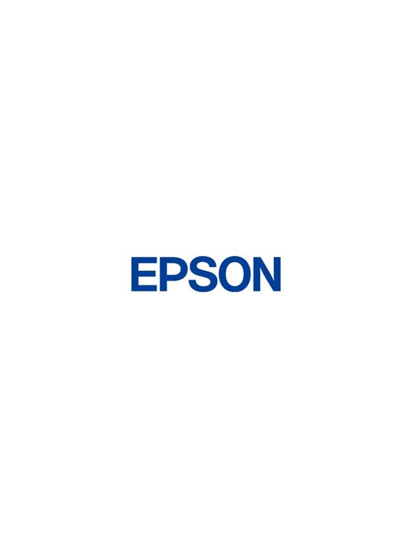 Epson SJMB4000 - ink maintenance box