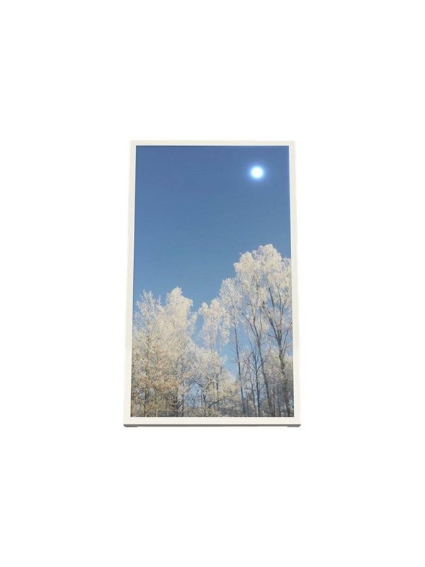 HI-ND Wall Casing EASY 32 Portrait - mounting kit - for LCD display - white RAL 9003