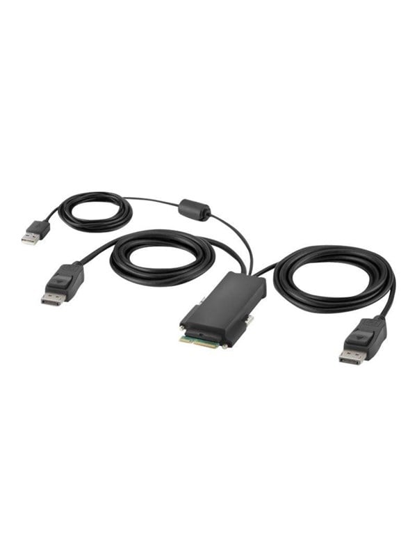 Belkin Secure Modular DP Dual Head Host Cable