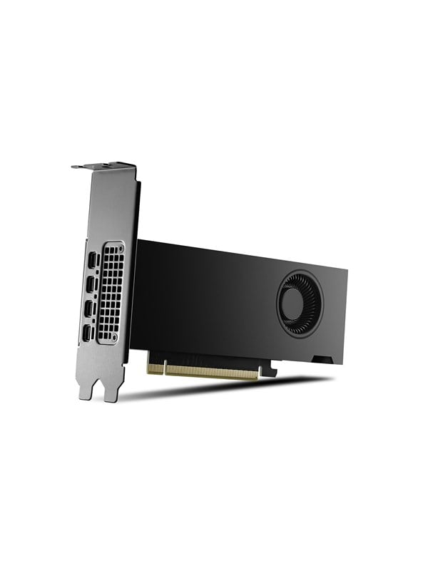 PNY RTX 2000 Ada Retail - 16GB GDDR6 RAM - Grafikkarte