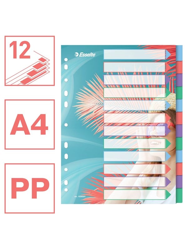 10 x Esselte Register Colour'Breeze A4 PP blanko 12-teilig transparent