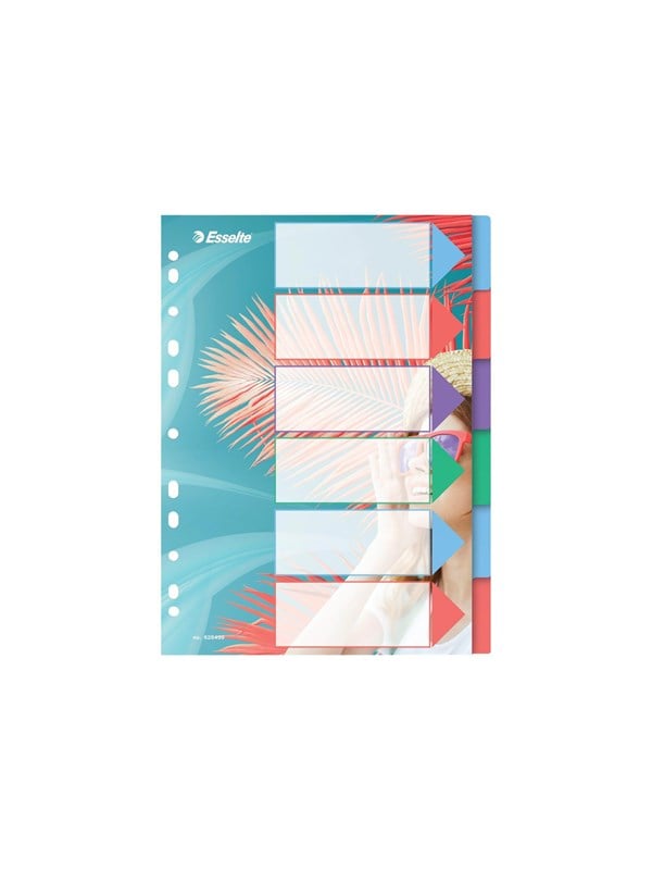 20 x Esselte Register Colour'Breeze A4 PP blanko 6-teilig transparent