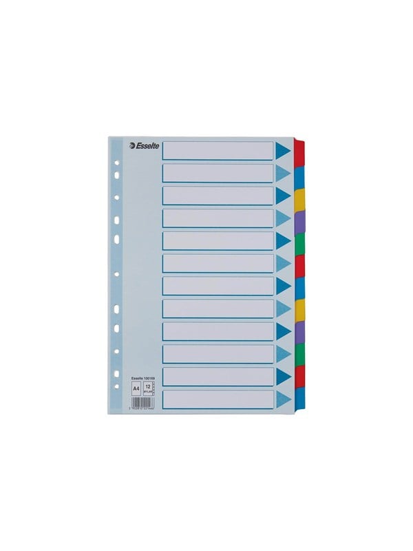 Esselte Register Blanko, Karton, Leerer Registerindex, Karton, Mehrfarbig, A4, 160 g/m², 2, 4, 6 - Image 4