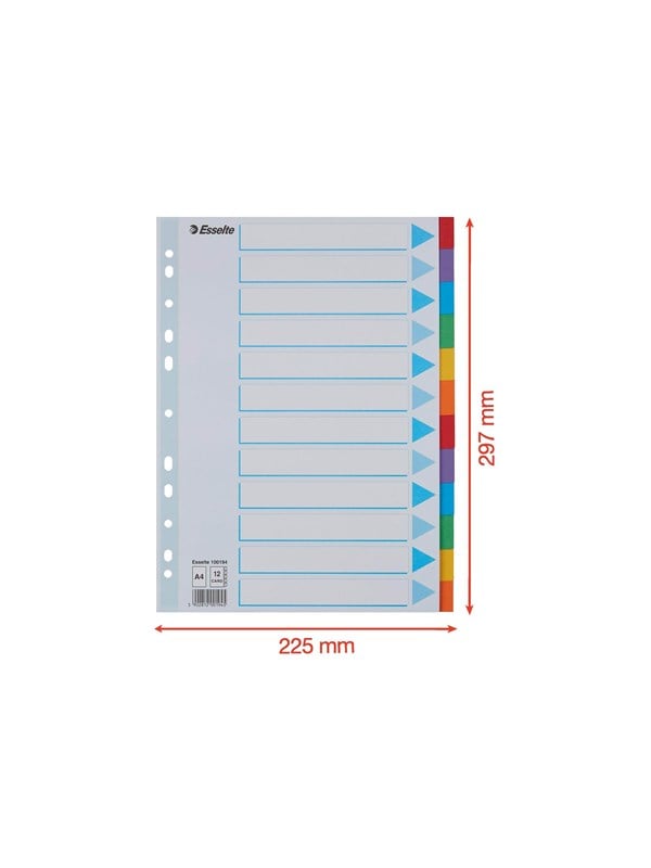 Esselte - divider - 12 parts - for A4 - tabbed