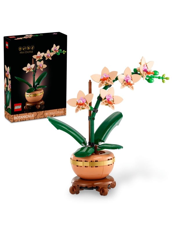 Image of LEGO Botanicals 10343 Mini-Orchidee