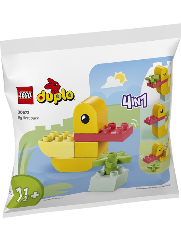 Lego Duplo - Bunte Kaczuszka Für Kreative Kinder (30673) - Bild 12