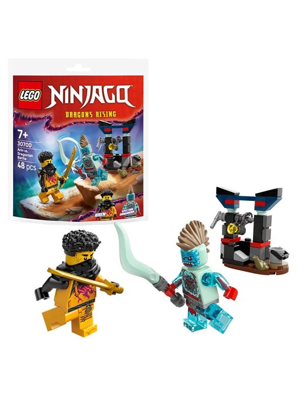LEGO Ninjago 30700 Arins Duell mit dem Drachenmenschen