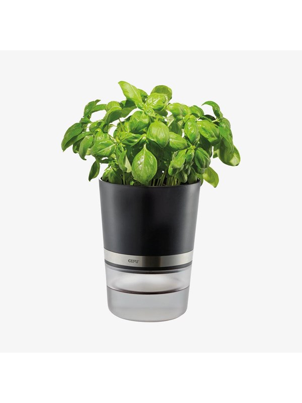 Image of GEFU Kräutertopf, BOTANICO