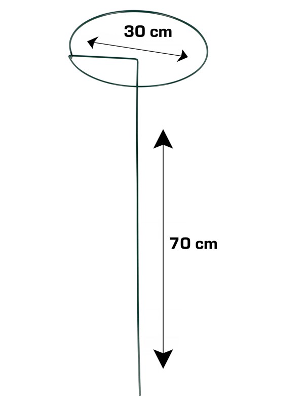 Home>it Plant support Ø30 x H70 cm
