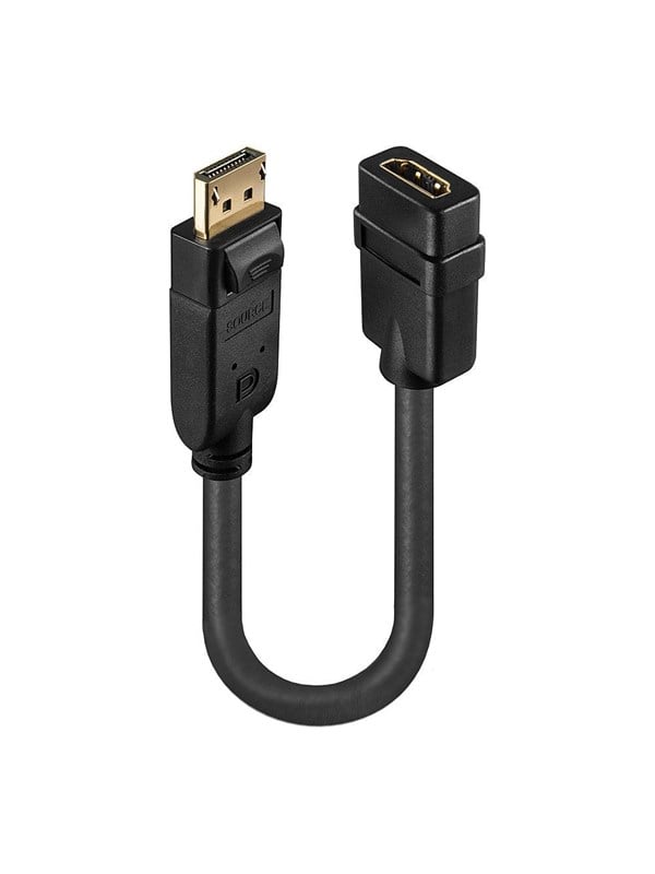 Lindy Display Port 12 to HDMI 13 Passive Converter
