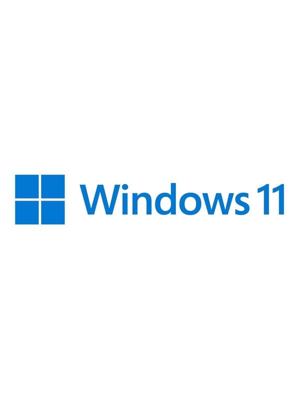 Microsoft Windows 11 Pro N - Flash drive