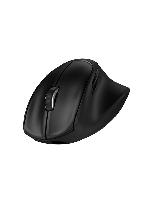 Image of HP Tilt Ergonomic 725M Tilt Ergonomic 725M EURO mouse - Maus (Schwarz)