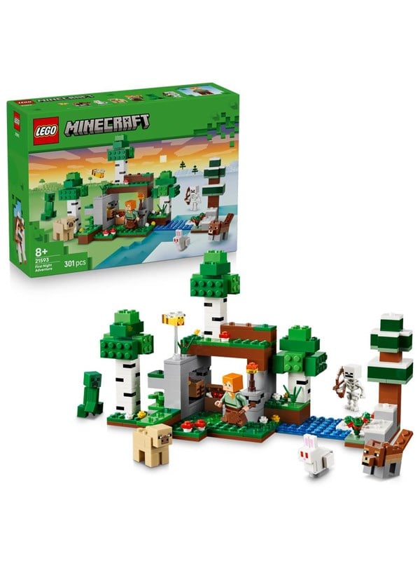 LEGO Minecraft 21593 Erstes Abenteuer in der Nacht