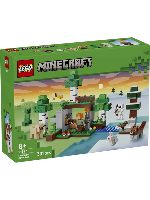 21593 Minecraft Erstes Abenteuer in der Nacht, Konstruktionsspielzeug