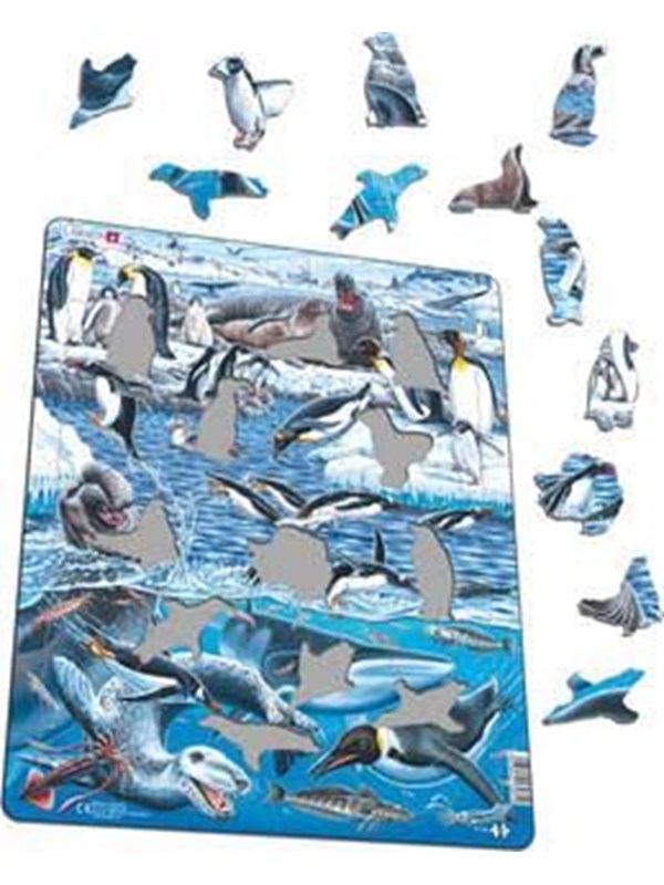 Larsen Puzzles Puzzle Antarctica - 66 pieces Maxi (36.5x28.5cm) Boden