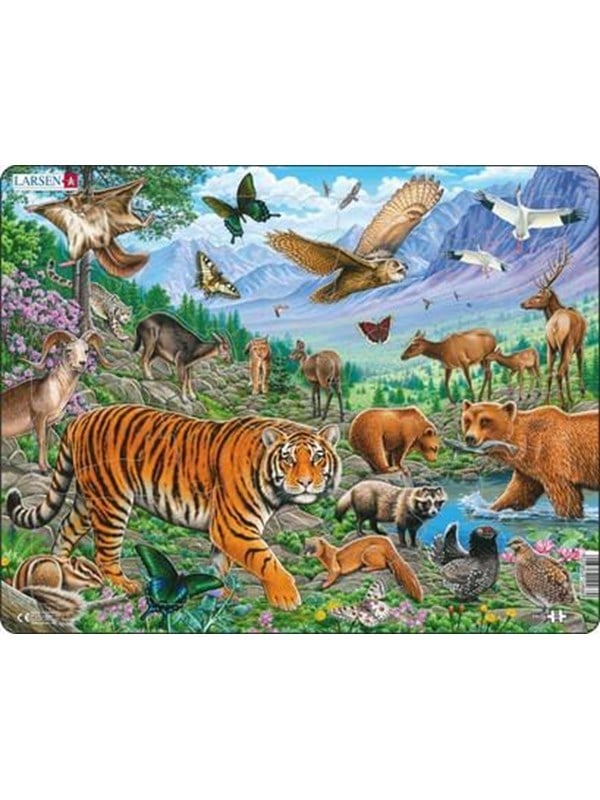 Larsen Puzzles Puzzle Siberian tiger summer - 36 pieces Maxi (36.5x28.5 cm) Boden
