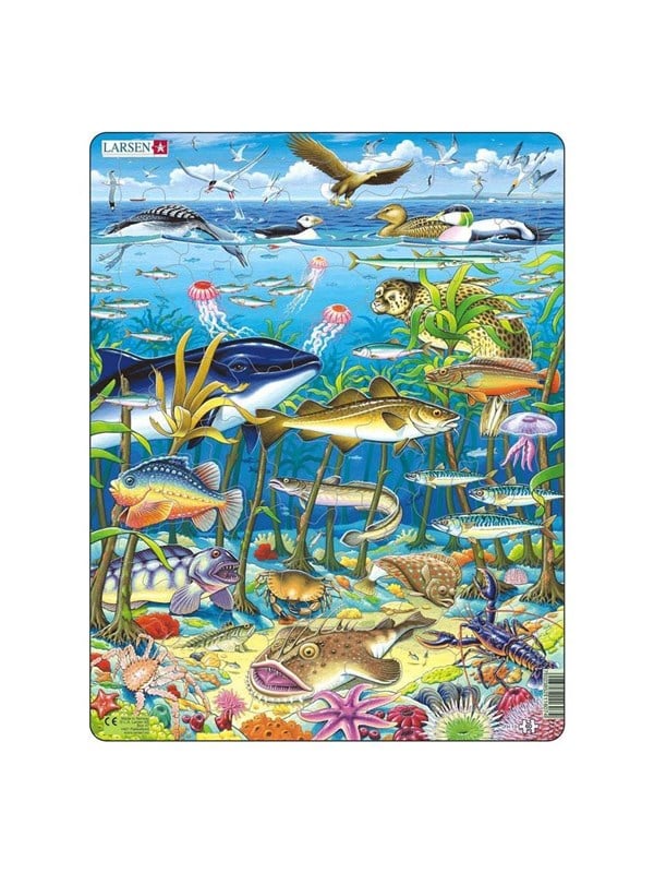 Larsen Puzzles Puzzle Marine Life in the North Atlantic - 60 pieces Maxi (36.5x28.5 cm) Boden