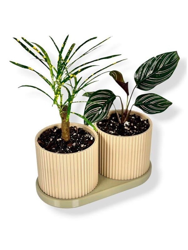Simiu TWINDA - Double Planter in beige and light olive - 85cm