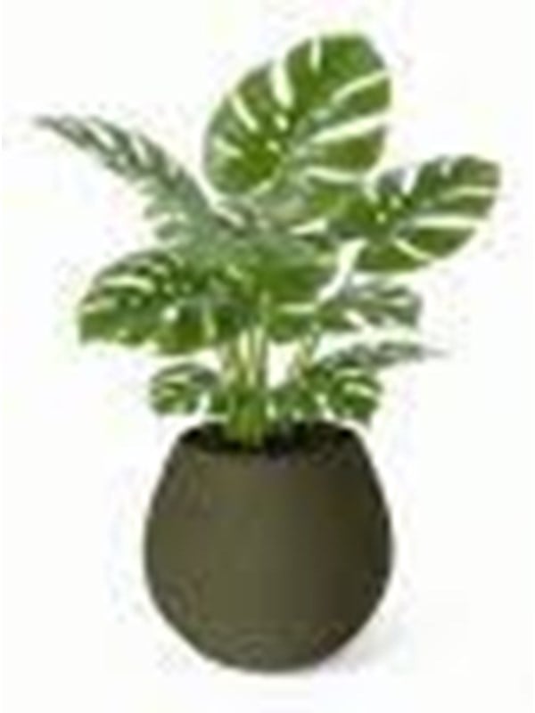 Simiu KAPKA - Flower Pot Shelter With Self-Watering System - Olive - 115