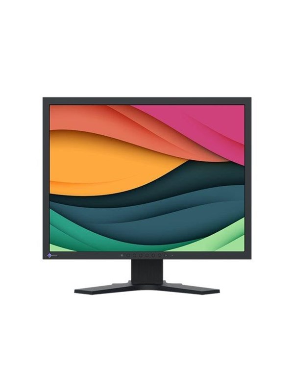 21" EIZO FlexScan S2134 - without stand - LED monitor - 21"