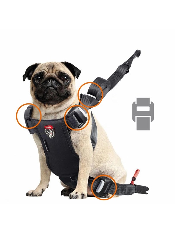 Zolux Travel Safe Isofix Car Safety Harness Red Small 7-15kg