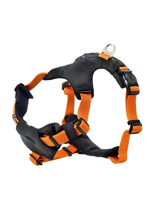 Sport harness Emmi