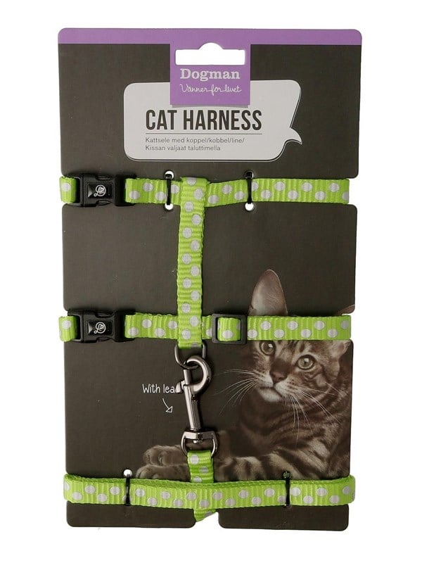 Harness-set Doris