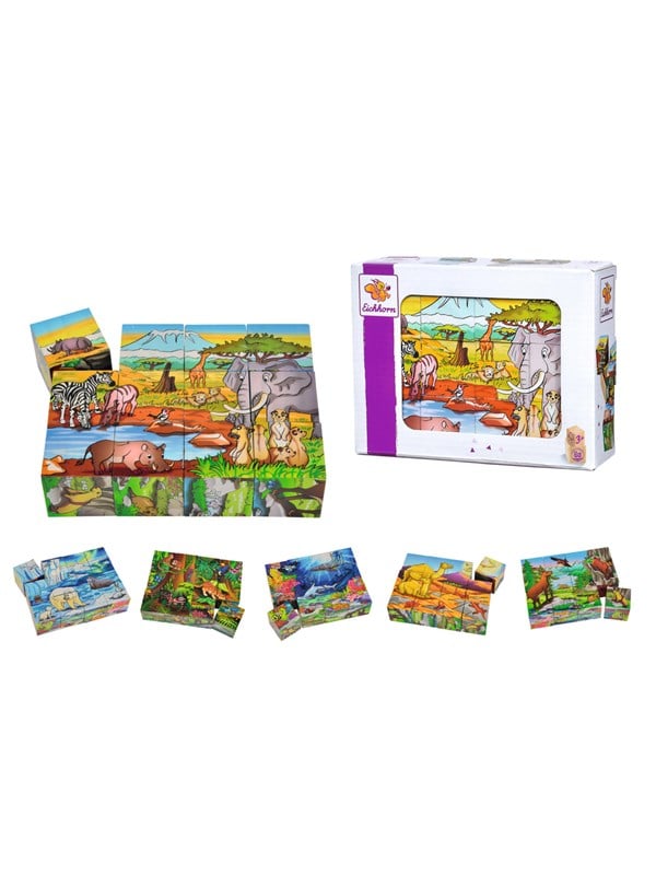 Eichhorn Picture Cube