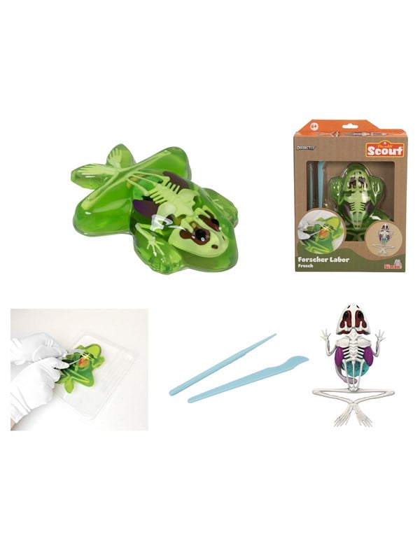 Simba Scout Dissect-It Frog